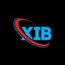 X.I.B company