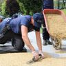 Master Seal Groundworks Ltd