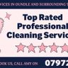 The Pink Ladies Cleaning Services LTD