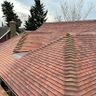Urban roofing & building