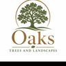 Oaks trees & landscapes