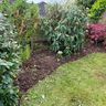 Murphy’s gardens and landscaping