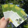 Garden maintenance services