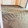 Gold standard steam carpet upholstery cleaning