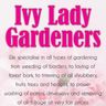 Ivy lady gardeners