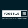 Force Blue (plumbing, heating, bathroom installations, tiling services, electric services)