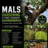 Miles gardening and tree surgery