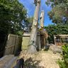 Jw tree service’s
