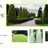 JB Garden and landscape services
