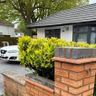 Maguire Masonry