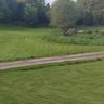 Professional Gardening Services