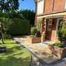 Essex tree care and services ltd