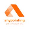 Any Pointing