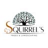 Squirrel Trees & Landscaping