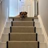 MJS FLOORING