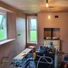 Bird Plastering