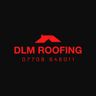 DLM ROOFING LTD