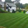 Belvedere Landscapes and Design