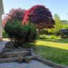 Harveys Home and Garden