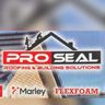 Pro-Seal roofing and building