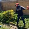 HS Tree & Garden Services