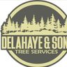 DeLaHaye & Son