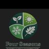 Four seasons