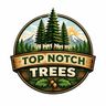 Top-Notch Trees and Landscape