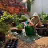 Robinson gardening