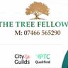 THE TREE FELLOWES