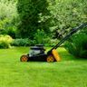 Ash Gardens services