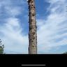 Rpw tree&garden care