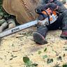 SR Tree Care
