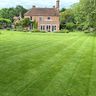 Sandor’s gardening maintenance handyman services