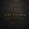 Jake Palmer Microcement and Plastering