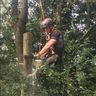 N.I.S TREE ARBORISTS LTD