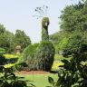 Welsh Gardening