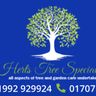 Herts tree specialists
