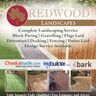 Redwood landscapes