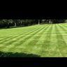 GLB Gardens