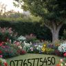 Mels gardening services