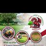 Cymru tree and property services