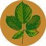 Hugo's Hedge Care & Gardening