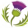 Thistle Tech M&E Ltd