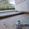 Gingell's carpentry