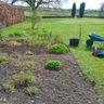 Haydon valley garden maintenance