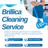 Brillica LTD