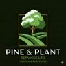 PINE AND PLANT SERVICES LTD