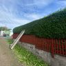 Local garden care