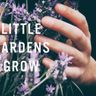 Little Gardens Grow